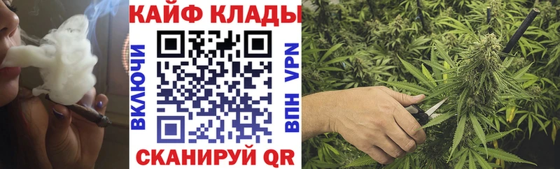Купить закладку Псилоцибиновые грибы  Мефедрон  ГАШИШ  Каннабис  Альфа ПВП  Егорьевск
