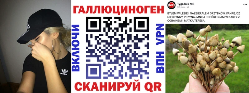 Купить где  Егорьевск  Псилоцибиновые грибы ЛСД 